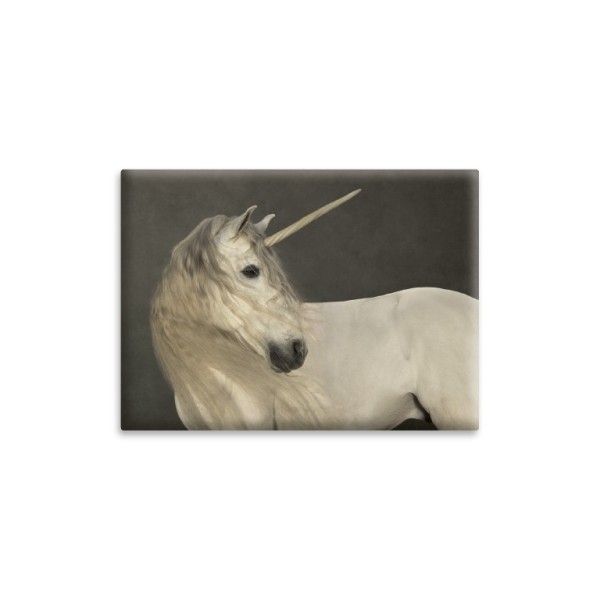 Magnet . WHITE UNICORN . edited by muse