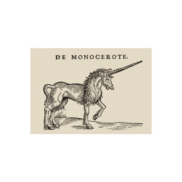 Postkarte Din A6 . HOLZSCHNITT EINHORN . edited by muse