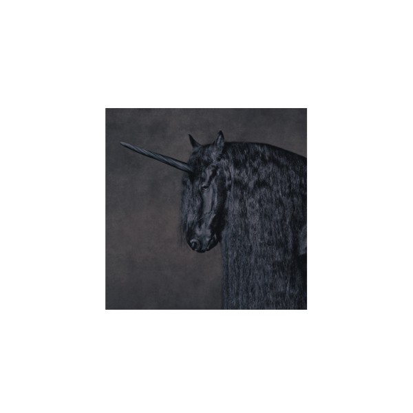 Postkarte quadratisch . SCHWARZES EINHORN . THIJS . edited by muse