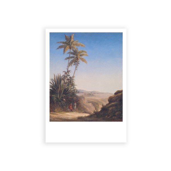 Postkarte Din A6 . PISSARRO . LANDSCHAFT SAINT THOMAS . edited by muse
