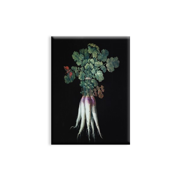 Magnet . GARTENREICH WÖRLITZ . BUND RETTICHE . edited by muse