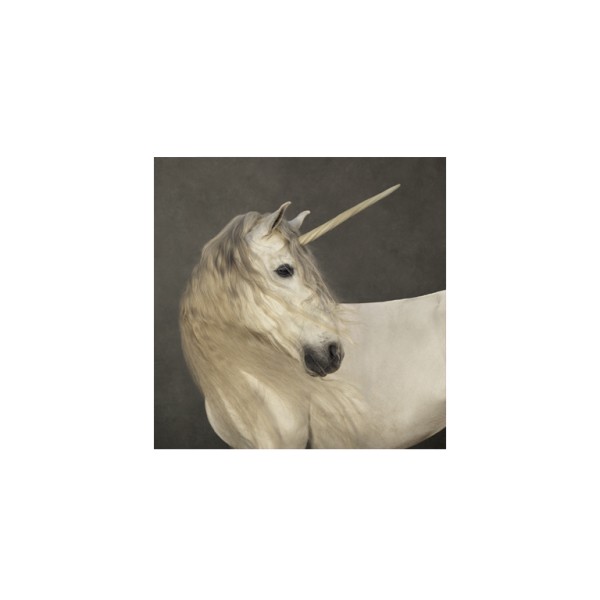 Postkarte quadratisch . WHITE UNICORN . edited by muse