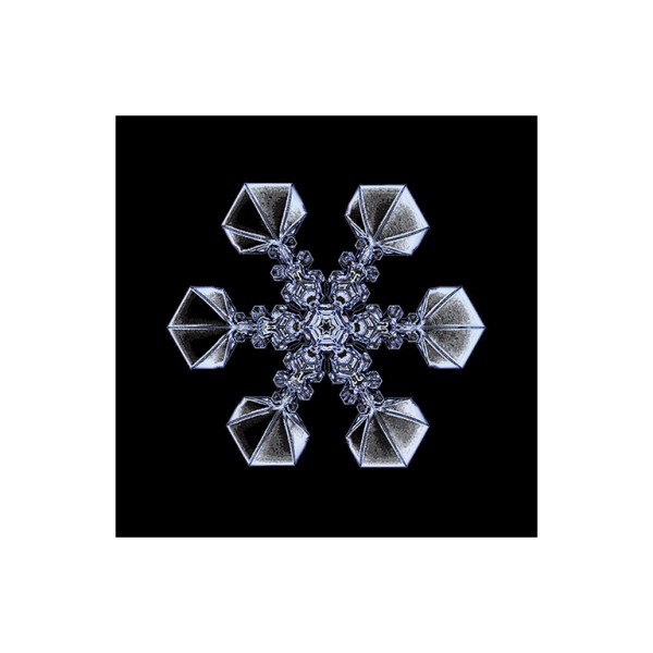 Klappkarte mit Umschlag . DIGITAL BY NATURE . DIGITAL CRYSTAL AI III . GLOSSY . edited by muse