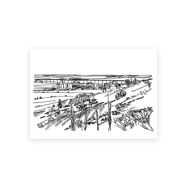 Postkarte Din A6 . ANTJE SCHIFFERS . IM WEINBERG . edited by muse