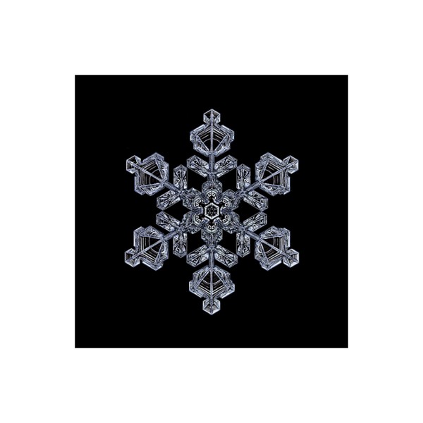 Klappkarte mit Umschlag . DIGITAL BY NATURE . DIGITAL CRYSTAL AI I . GLOSSY . edited by muse